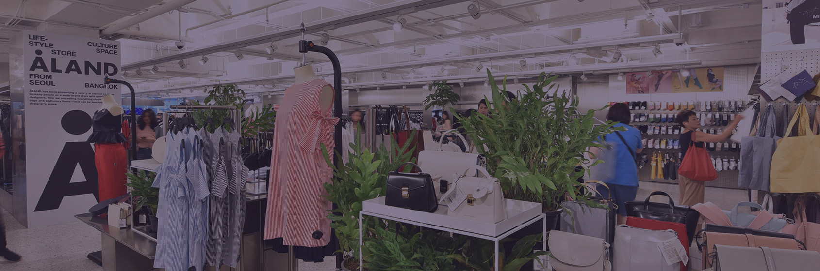 Siam Piwat taps Korean culture with Carlyn pop-up store